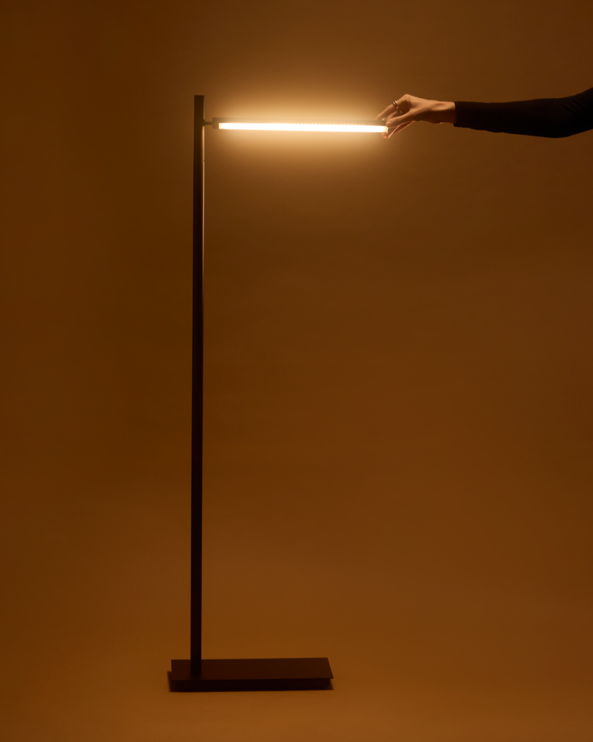 Brightech_LindenFloorLamp_Metal_Black13.png
